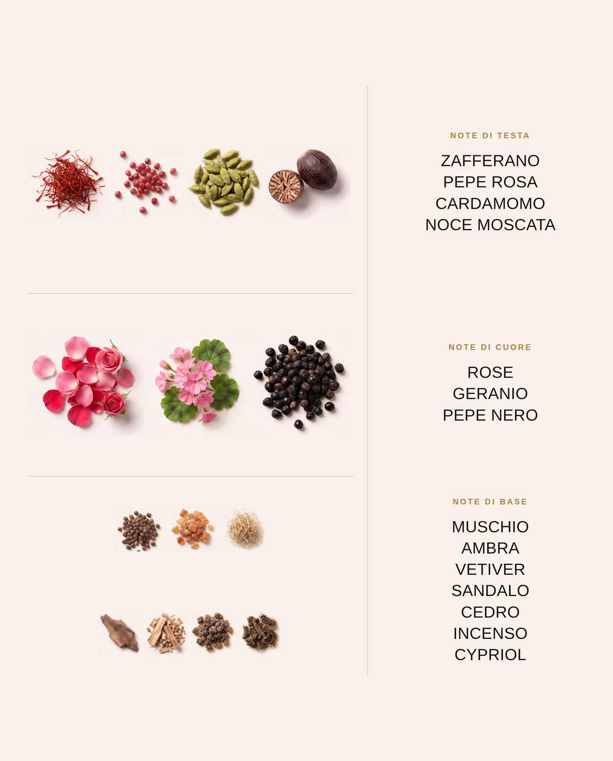 Note olfattive di Leopard: zafferano, pepe rosa, rosa, muschio e ambra