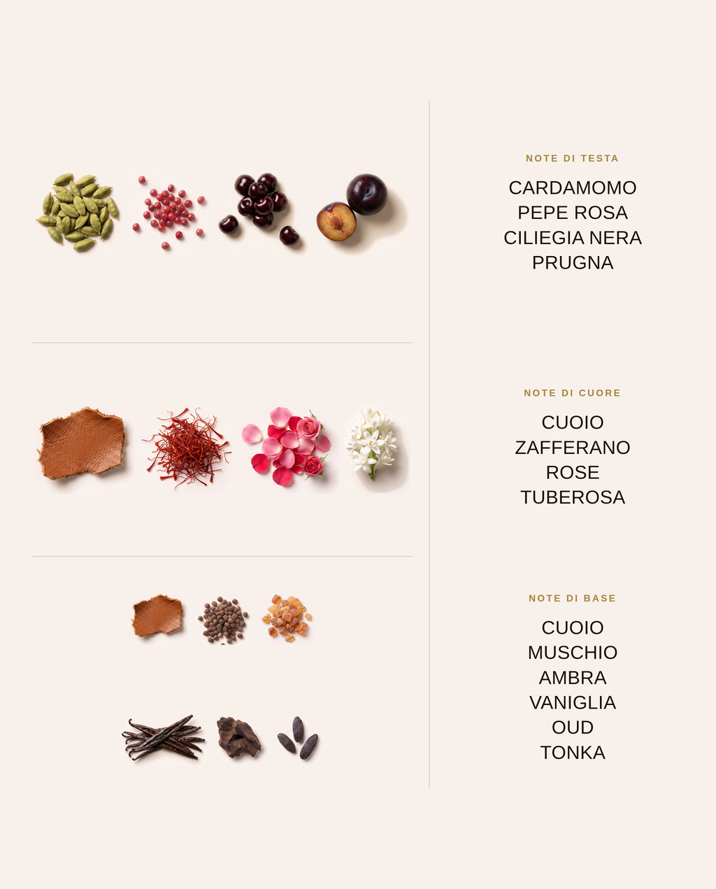 Note olfattive di Oud Phantom: testa, cuore e base