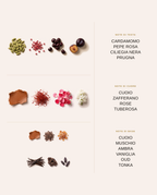 Note olfattive di Oud Phantom: testa, cuore e base