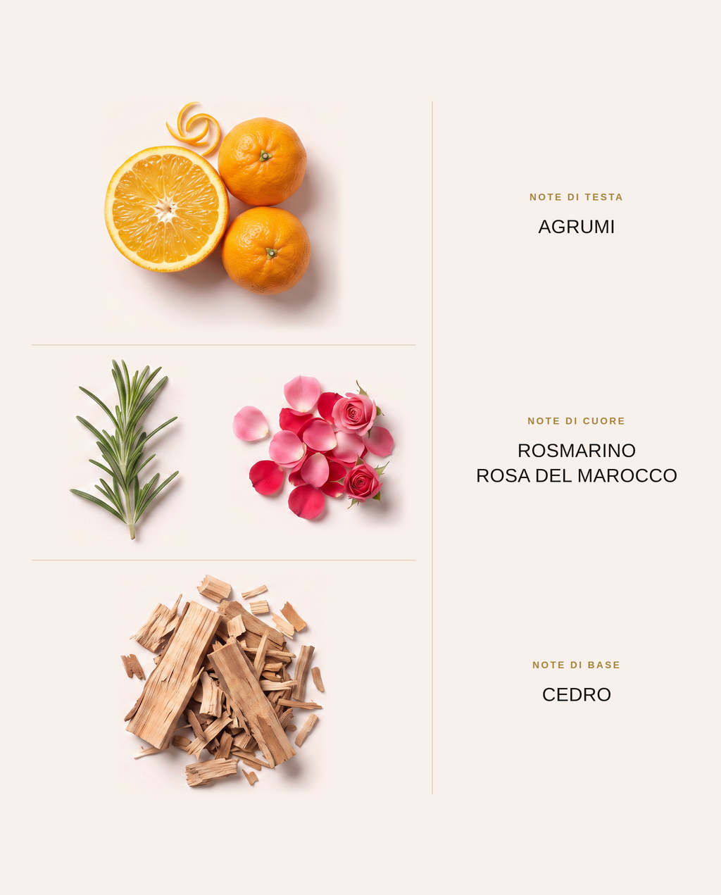 Note olfattive di Romance n°2: testa, cuore e base