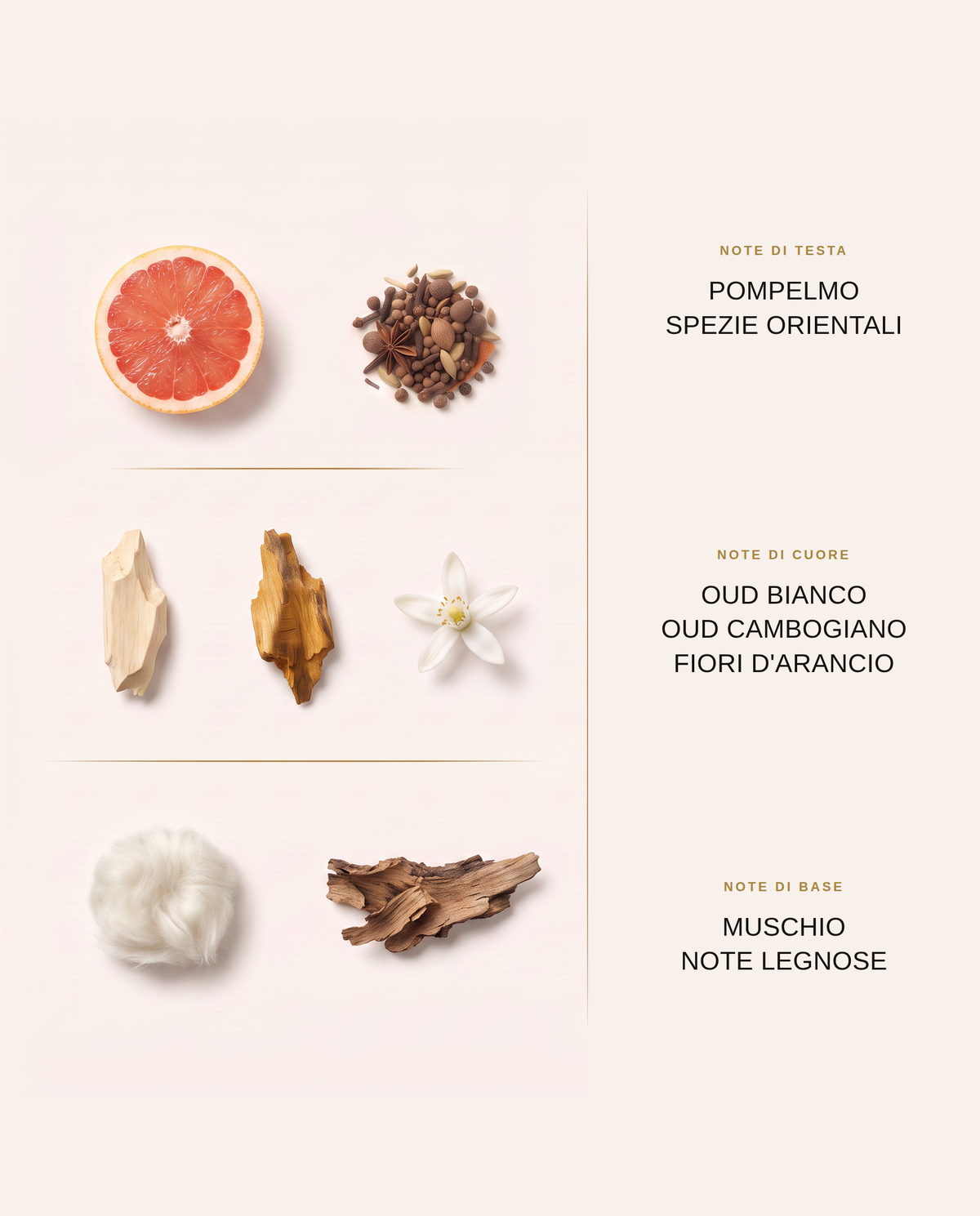 Note olfattive di T15: pompelmo, oud bianco, fiori d'arancio e muschio