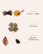 Piramide olfattiva di Tobacco Honey Prima Chic: note di testa, di cuore e di base