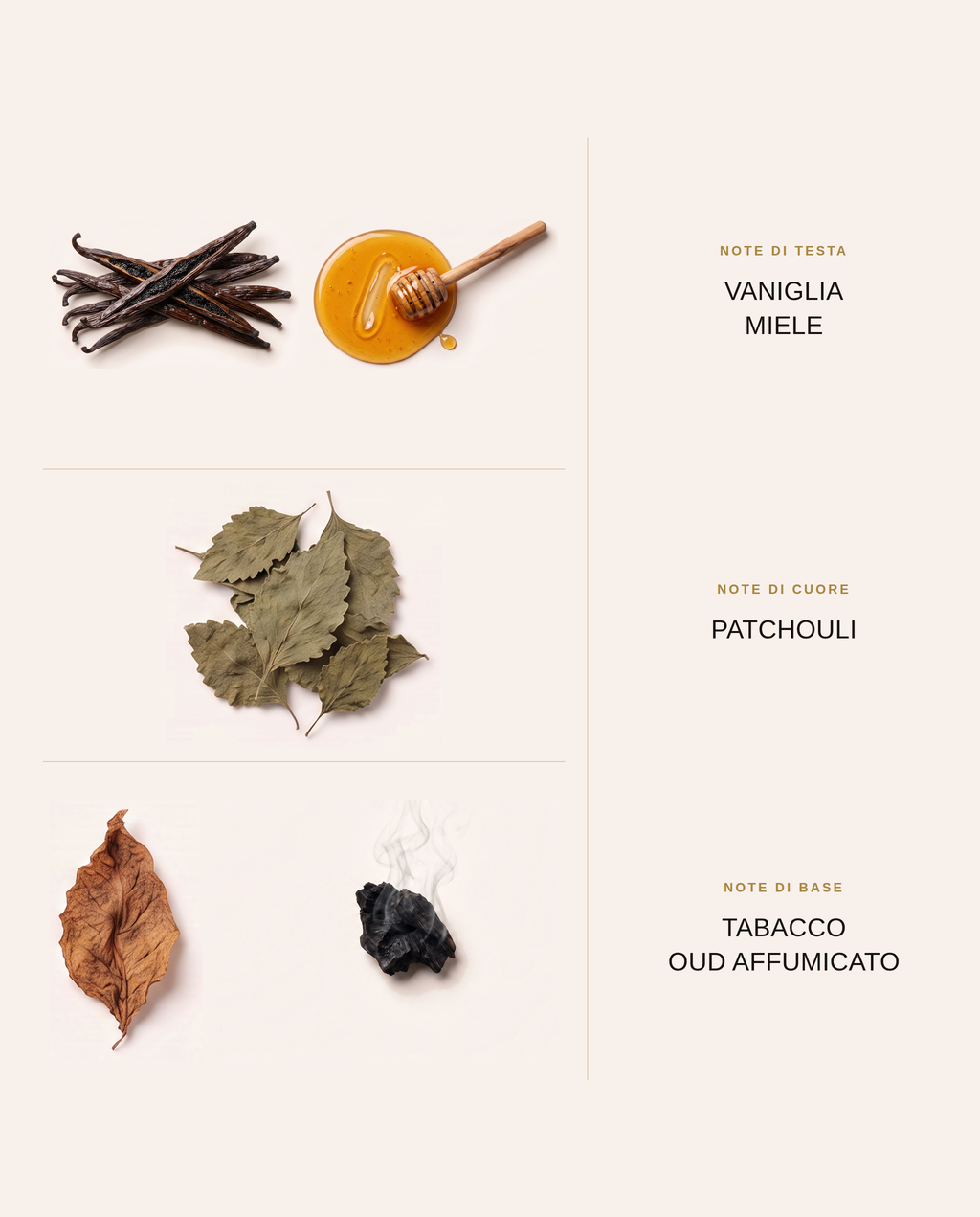 Note olfattive di Tobacco Honey Prima Chic: testa, cuore e base