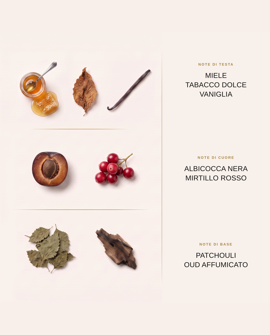 Note olfattive di Tobacco Honey Taif Al Emarat: miele, tabacco, frutti scuri e oud