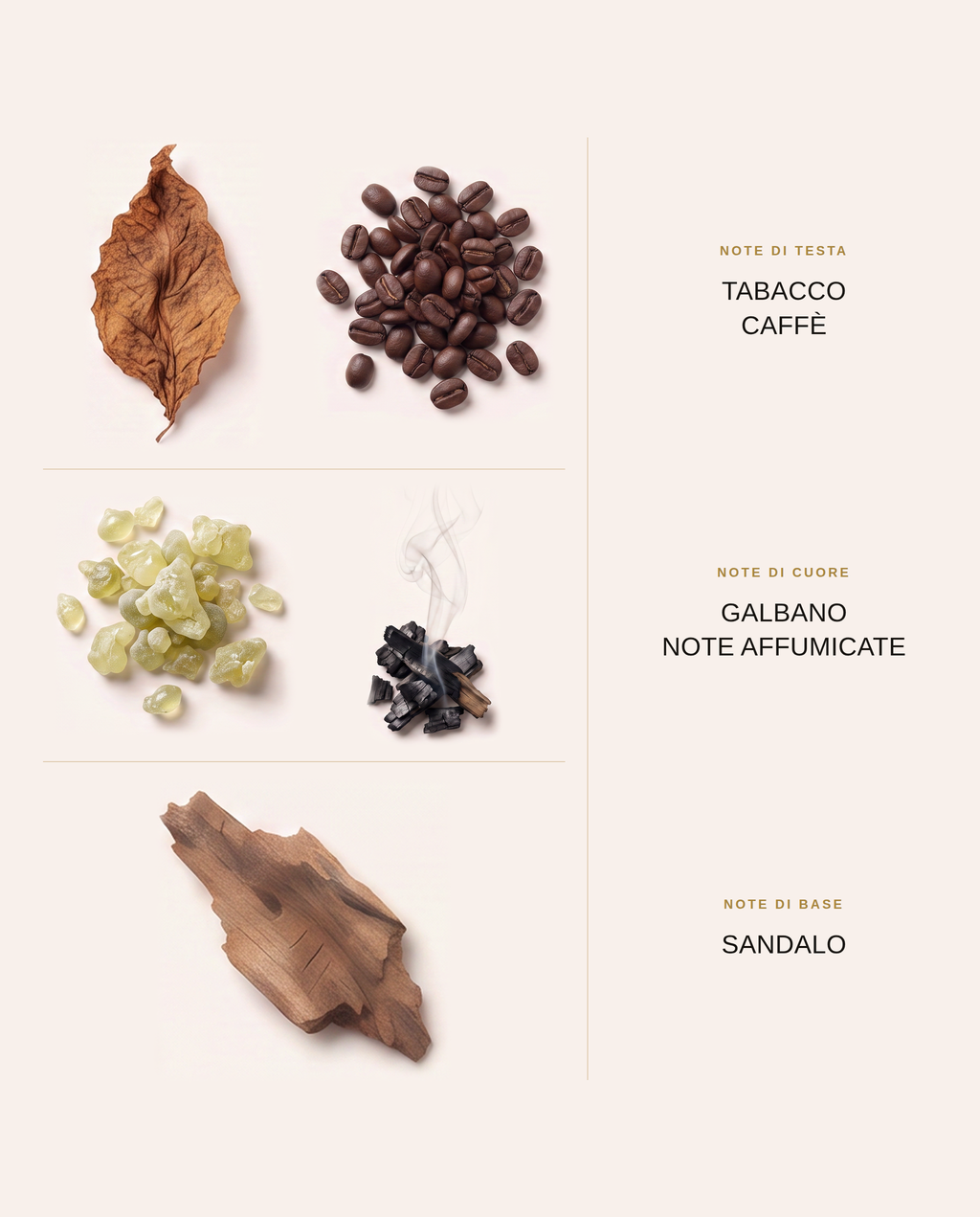 Note olfattive di V08: testa, cuore e base