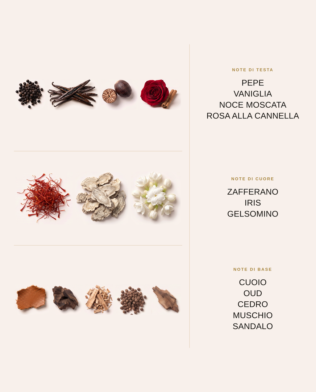 Note olfattive di Vino Rouge: testa, cuore e base